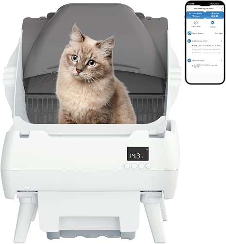 Automatic Cat Litter Box 智能猫砂盆 自动清洁