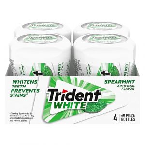 Trident 无糖薄荷口香糖 240粒装
