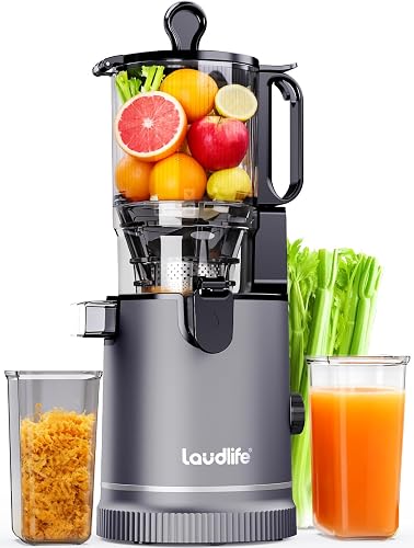 Laudlife 冷压原汁机 5.9寸大口径 慢榨汁机